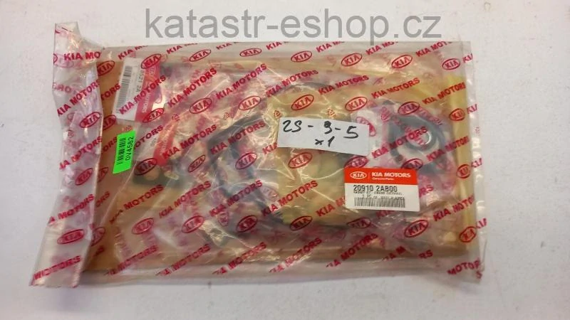 HYUNDAI/KIA 209102AB00 Motor