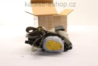 RENAULT 868848429R Tělo